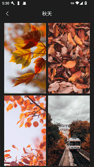 口袋免费壁纸高清版截图