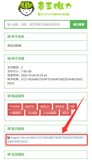 老王磁力搜索引擎截图