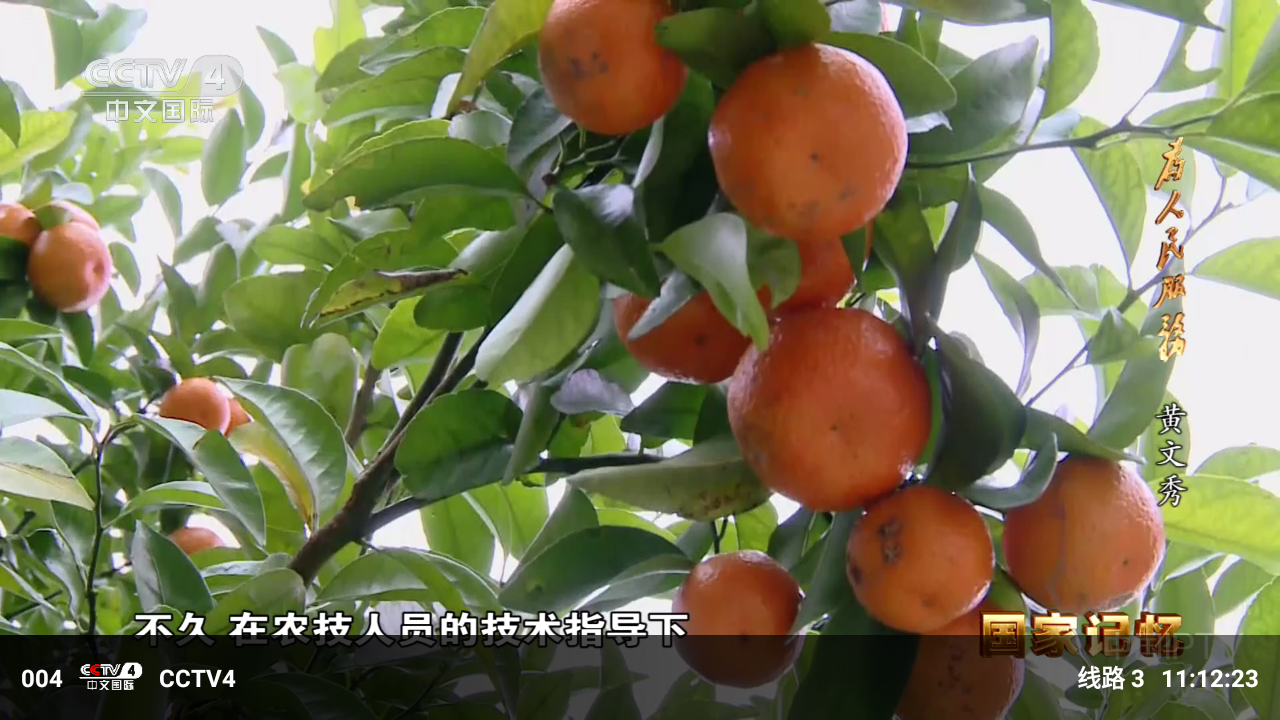 LiveTV截图