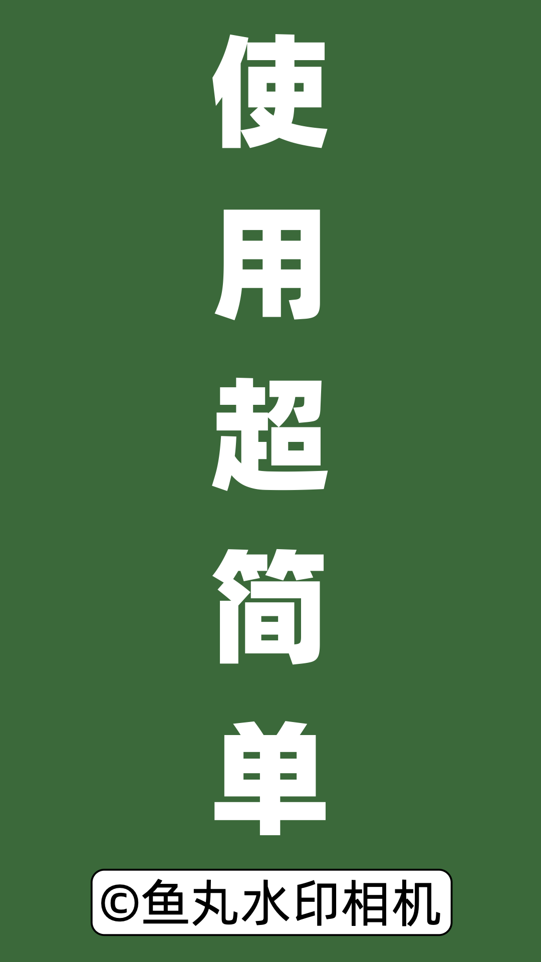 鱼丸水印相机截图