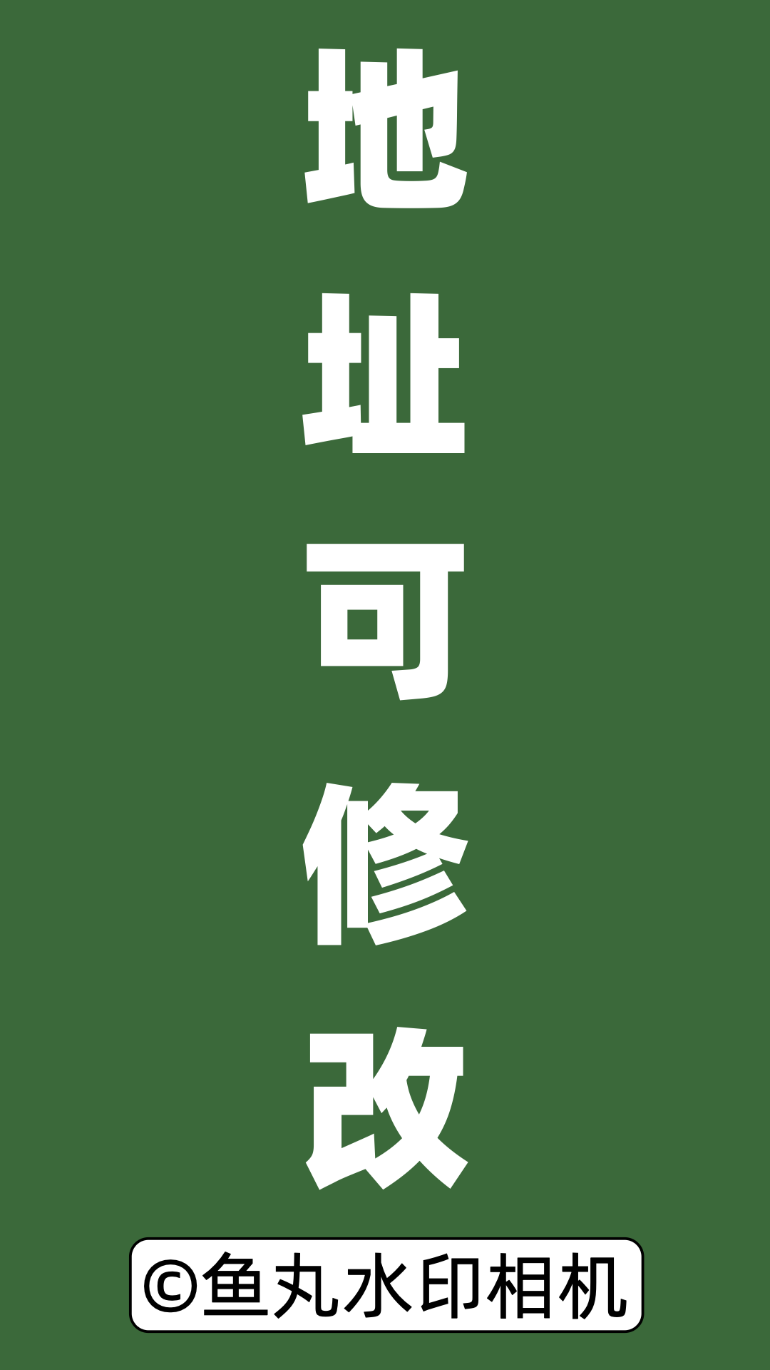 鱼丸水印相机截图