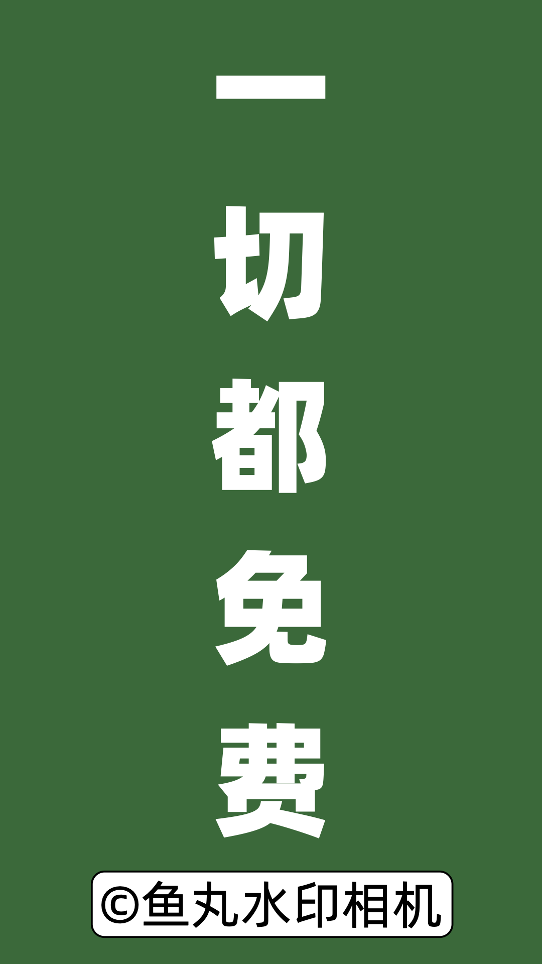 鱼丸水印相机截图