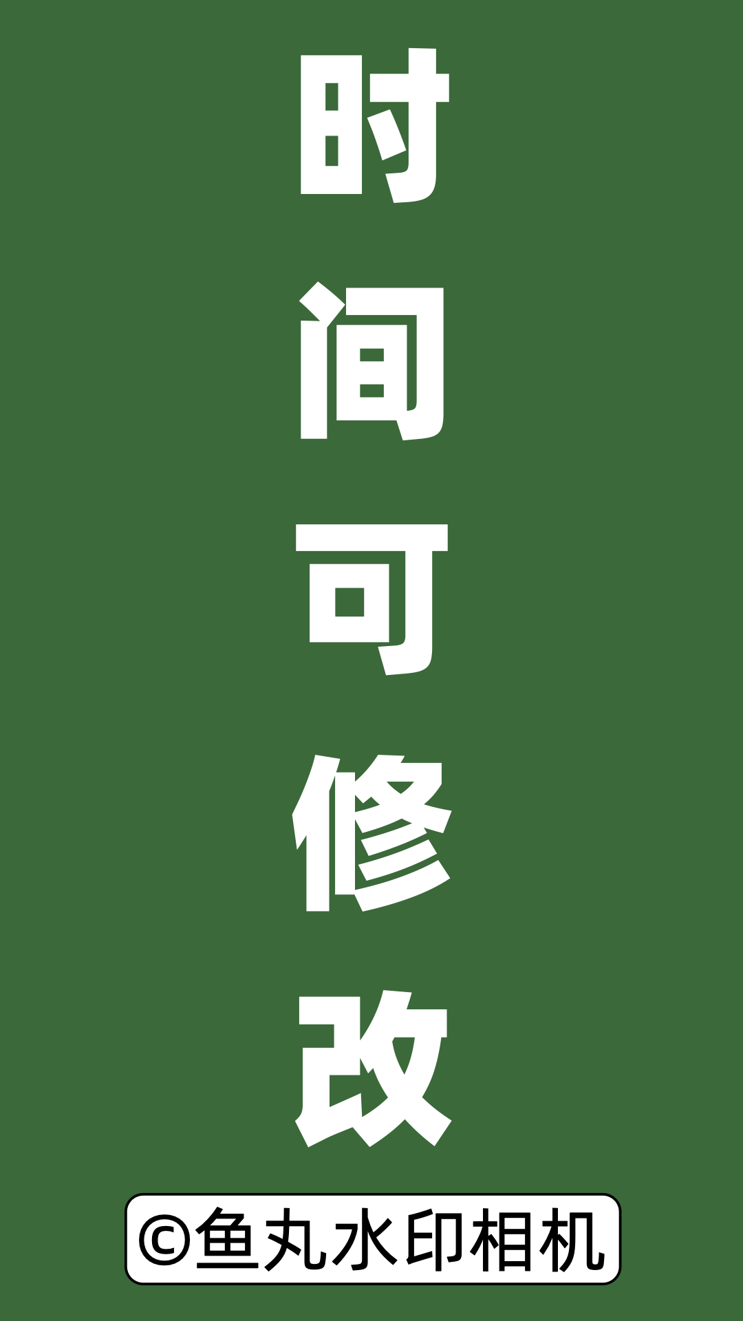 鱼丸水印相机截图
