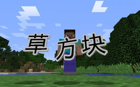 我的世界字字落实截图