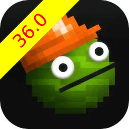 甜瓜游乐场36.0