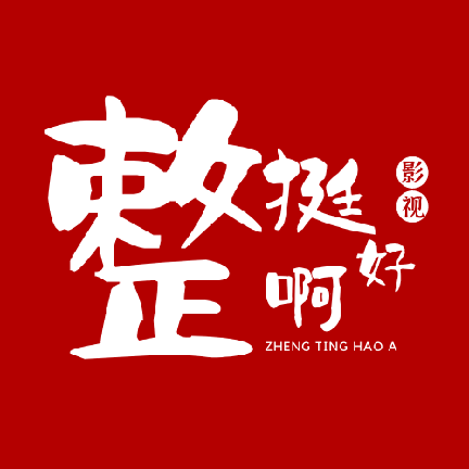整挺好影视