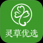 灵草优选