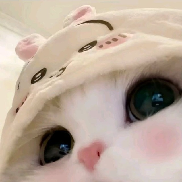 小蛋糕启动器