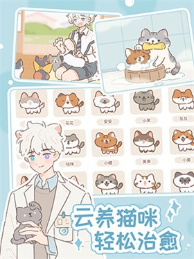 Purrfect Tale截图4