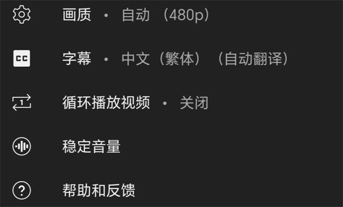 油管youtube怎么翻译成中文字幕