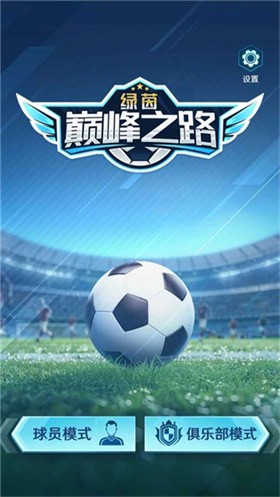 绿茵巅峰之路官方版截图5