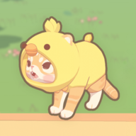 窗外猫